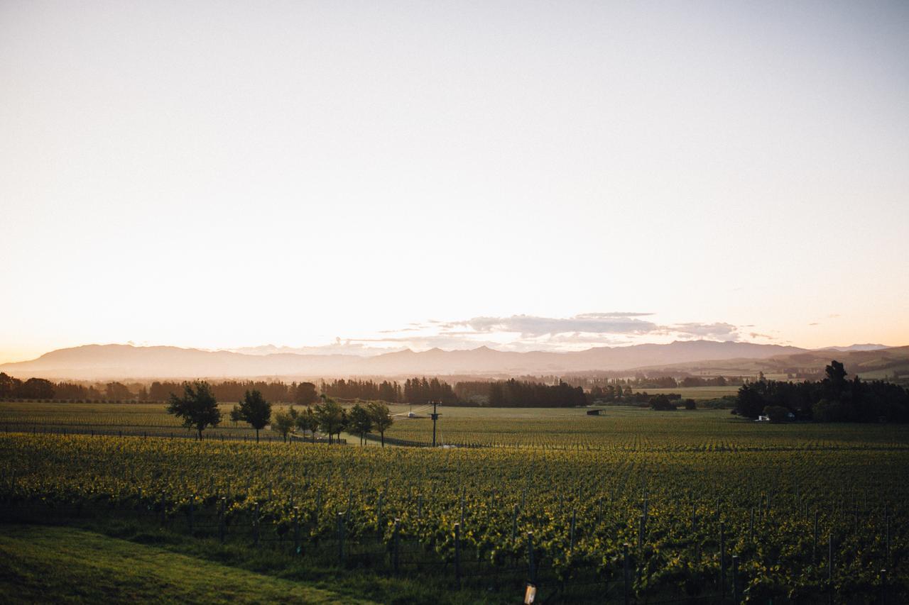 Black Estate B & B Waipara Екстер'єр фото
